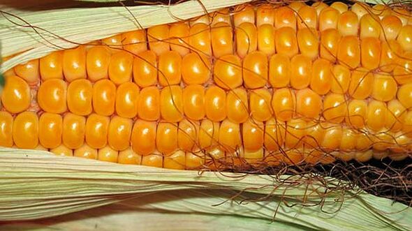 Ce qu'il ne faut pas manger avec le régime céto